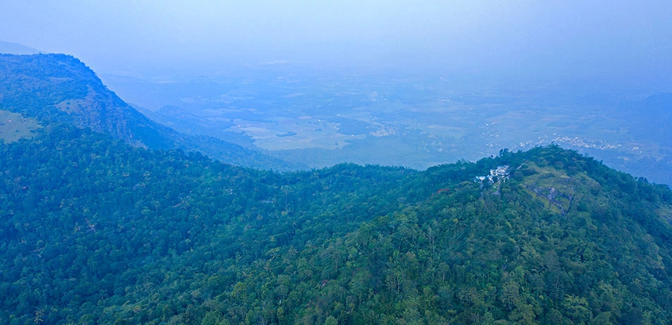 Hills & Hues Thekkady